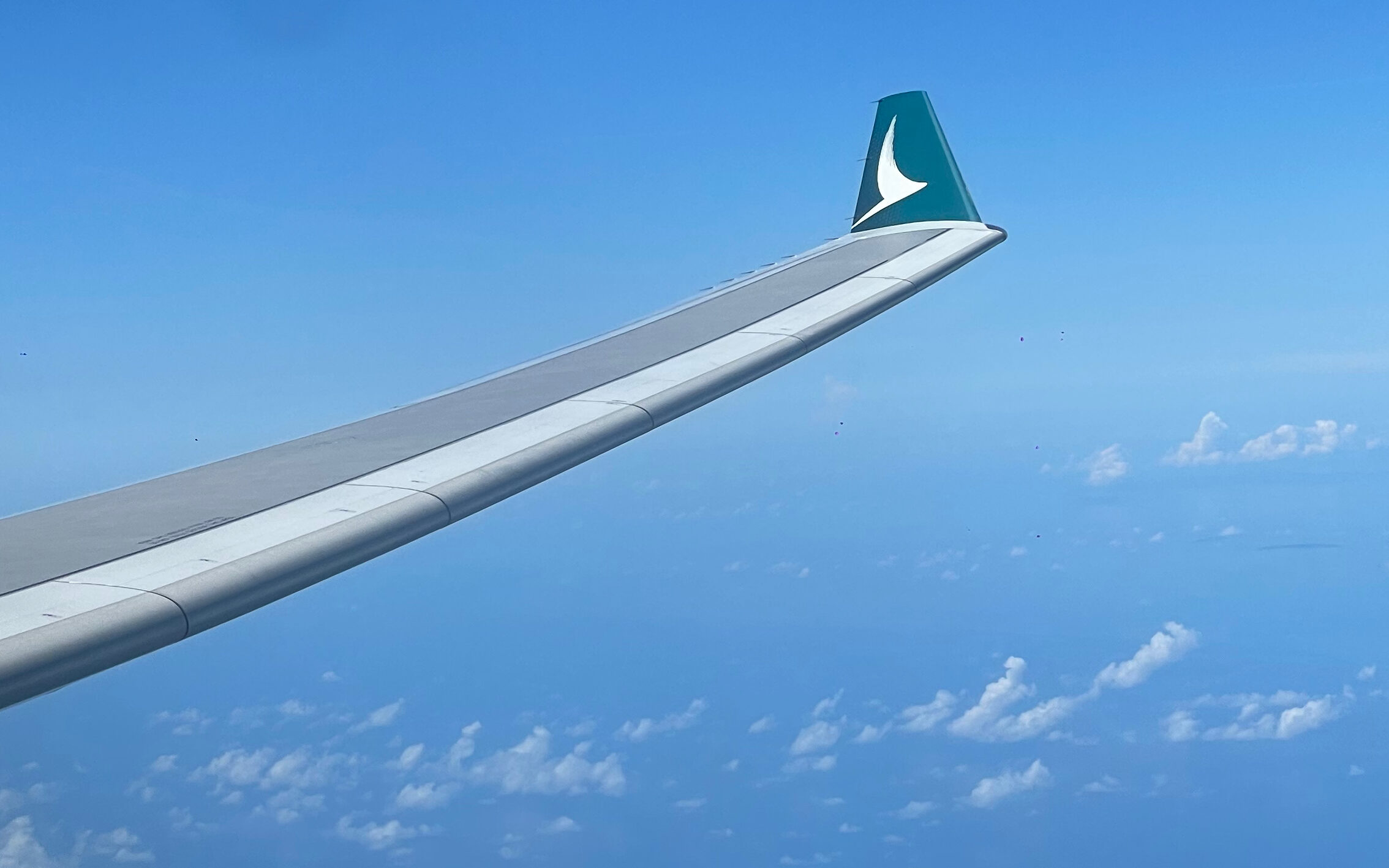 Cathay Pacific A330 Wingtip