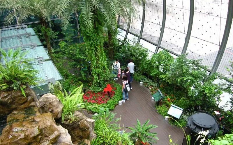 Butterfly Garden at Singapore Changi